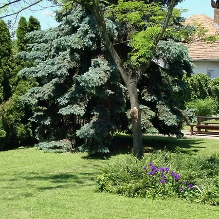 Gyongyvirag Vendeghaz