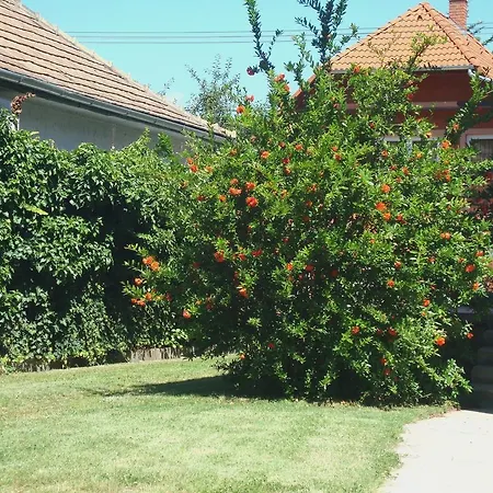 Gyongyvirag Vendeghaz Lägenhet *